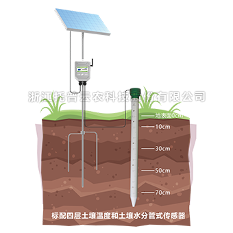 草莓黄色视频APP剖面水分测定仪
