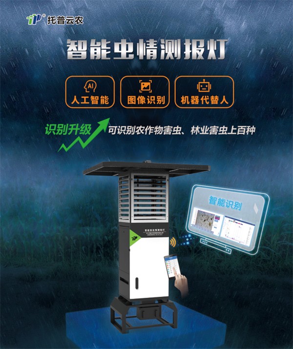 害虫无处逃，草莓视频色板下载“虫脸识别”有妙招