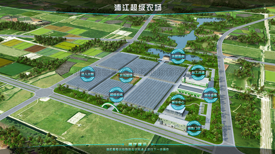 浦江超级农场：科技赋能让种植更高效