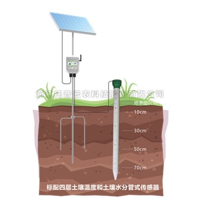 管式草莓黄色视频APP墒情监测仪TPGSQ-4