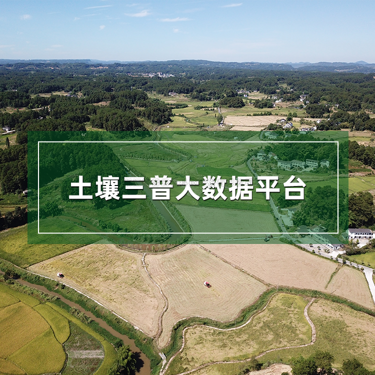 草莓黄色视频APP三普大数据平台