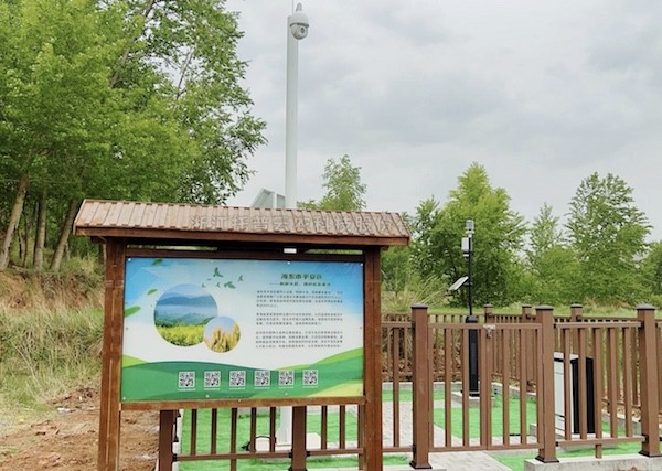 走进国家级油菜夏繁基地，感受科技赋能蓬勃动力