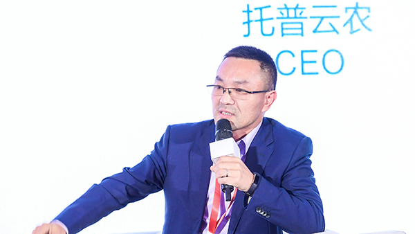 草莓视频色板下载董事长陈渝阳