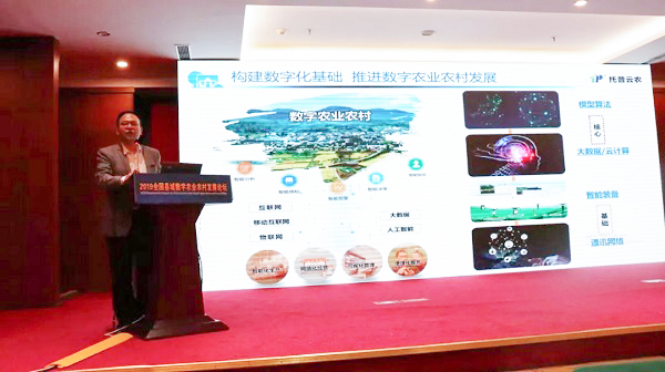 草莓视频色板下载副总经理钱鹏概述草莓视频色板下载在推进数字农业农村部当中的定位
