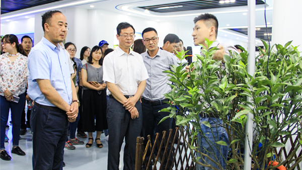 谢主任一行参观草莓视频色板下载展厅