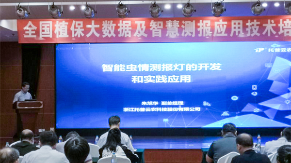 草莓视频色板下载常务副总经理朱旭华作了专题汇报