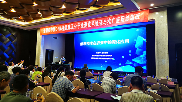 草莓视频色板下载副总经理朱旭华