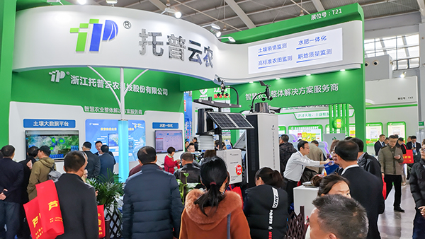 草莓视频色板下载展位