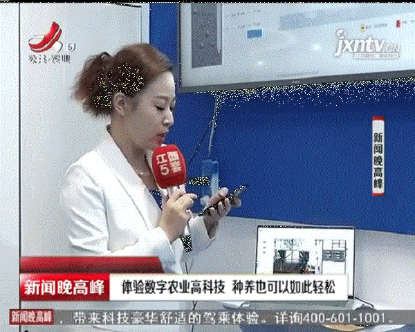 记者演示草莓视频色板下载物联网设备的远程操控功能
