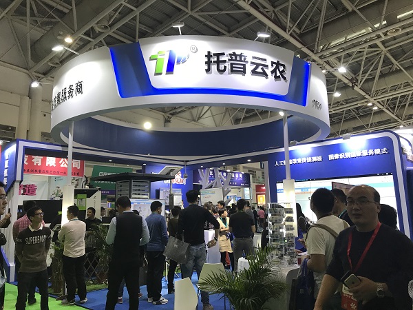 草莓视频色板下载展位