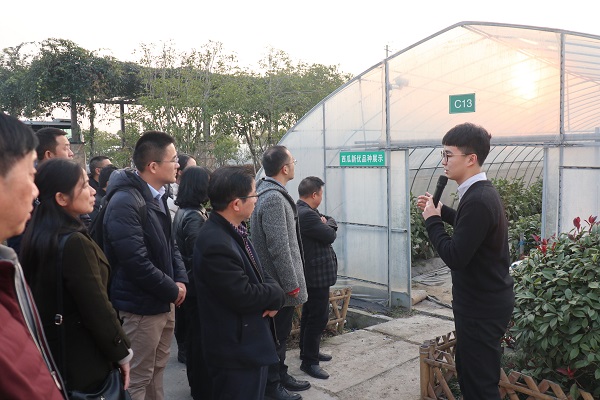 培训班参观草莓视频色板下载临浦基地
