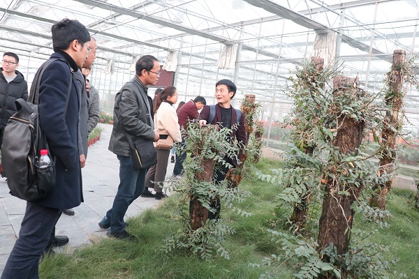 培训班参观草莓视频色板下载临浦基地