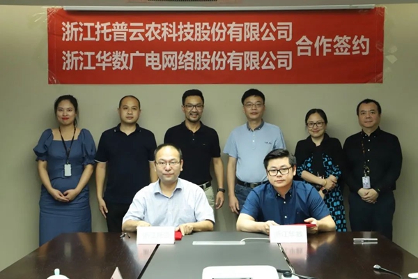 草莓视频色板下载与浙江华数签约仪式
