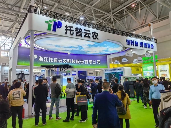 草莓视频色板下载展位