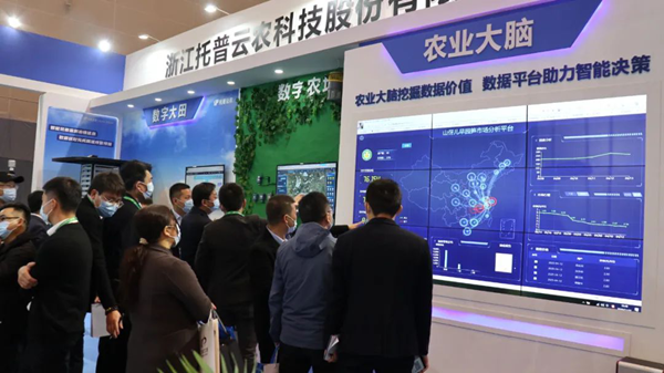 草莓视频色板下载展位