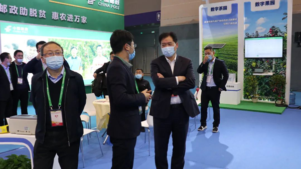 浙江省农业农村厅副厅长唐冬寿莅临草莓视频色板下载展位