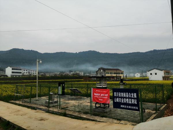 草莓视频色板下载病虫害监测点