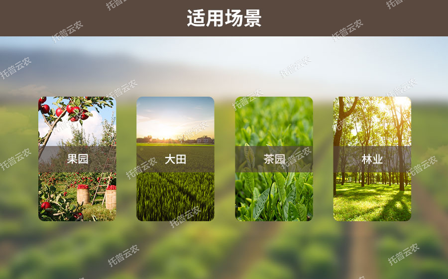 草莓黄色视频APP墒情监测系统适用场景