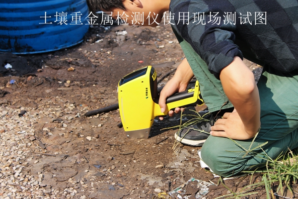 草莓黄色视频APP重金属检测仪使用现场测试图