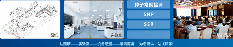 一站式草莓视频污在线看检验