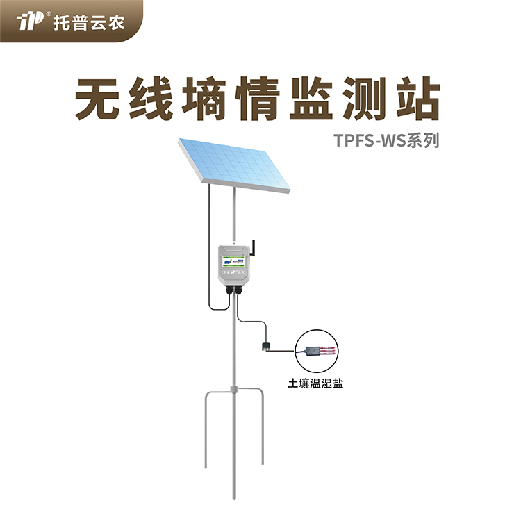 多点草莓黄色视频APP水分监测系统